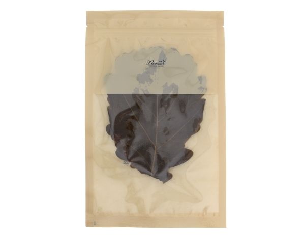 【季節】柏の葉 5枚の画像